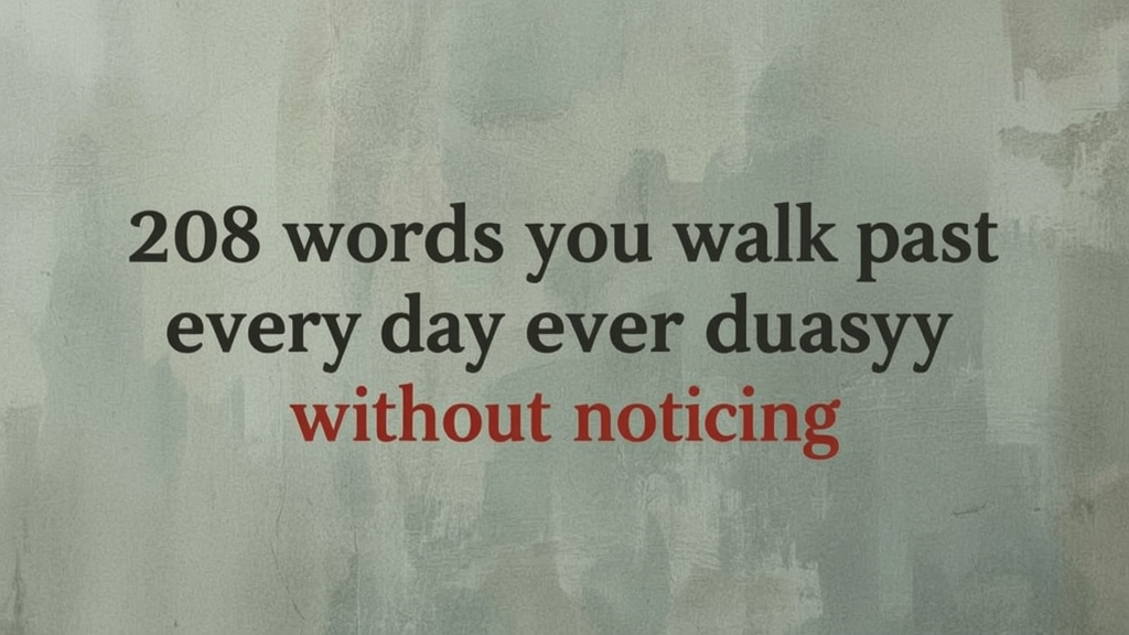 208 Words You Walk Past Every Day Without Noticing